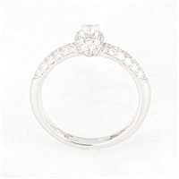 Ring Giorgio Visconti Woman in White Gold Diamante 0.11 Ct GVA634 - GVA634